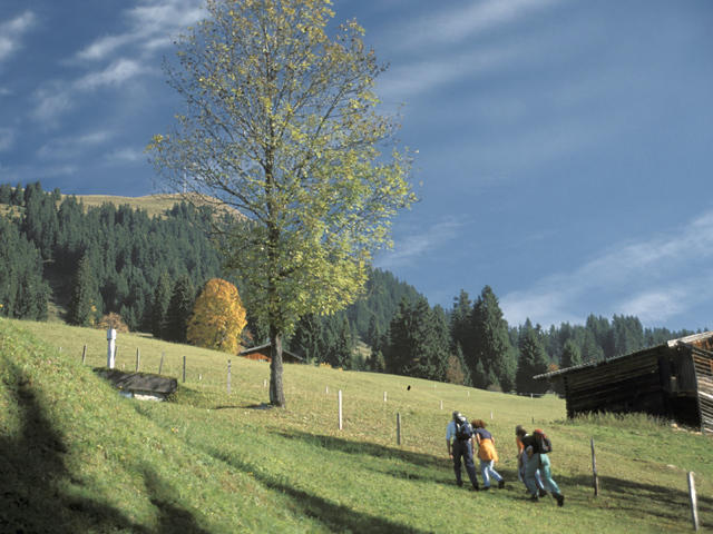 Neukumhof Leilighet Westendorf Eksteriør bilde